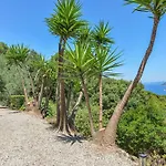 Vila Locus Solus Elba