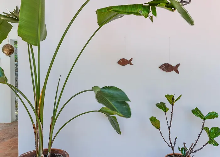 ヴィラ Locus Solus Elba Casa Marchetti